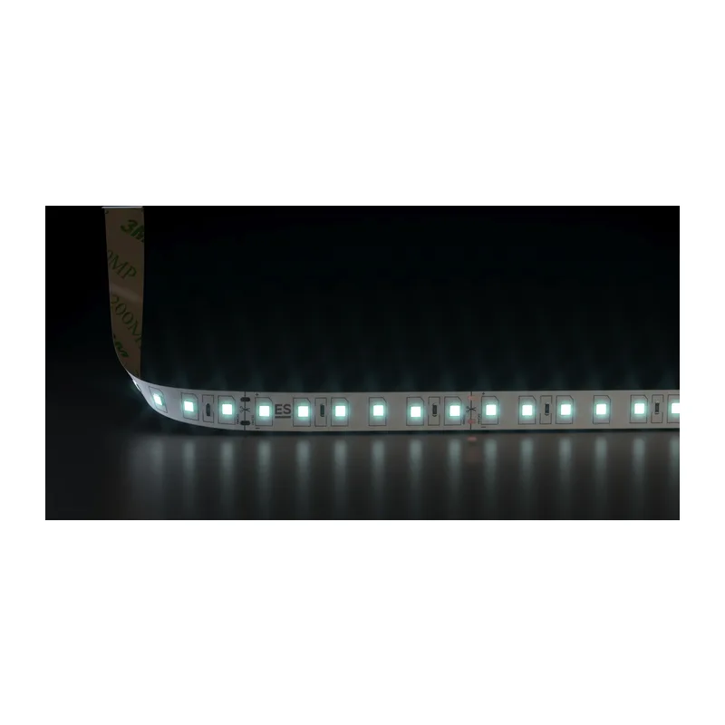 Светодиодная лента 24 В 9,6 Вт/м 120 Led/м 2835 IP20, холодный белый 6500K, 5 м Лента светодиодная 24V 9,6W 120Led 2835 IP20 холодный белый, 5м Elektrostandard 2
