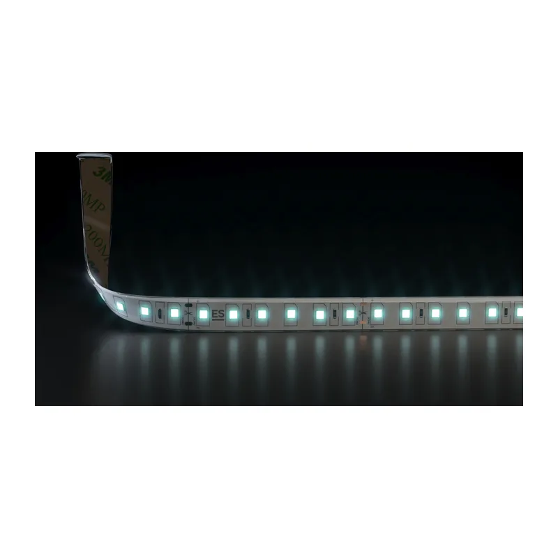 Светодиодная лента 24 В 9,6 Вт/м 120 Led/м 2835 IP65, холодный белый 6500K, 5 м Лента светодиодная 24V 9,6W 120Led 2835 IP65 холодный белый, 5м Elektrostandard 2