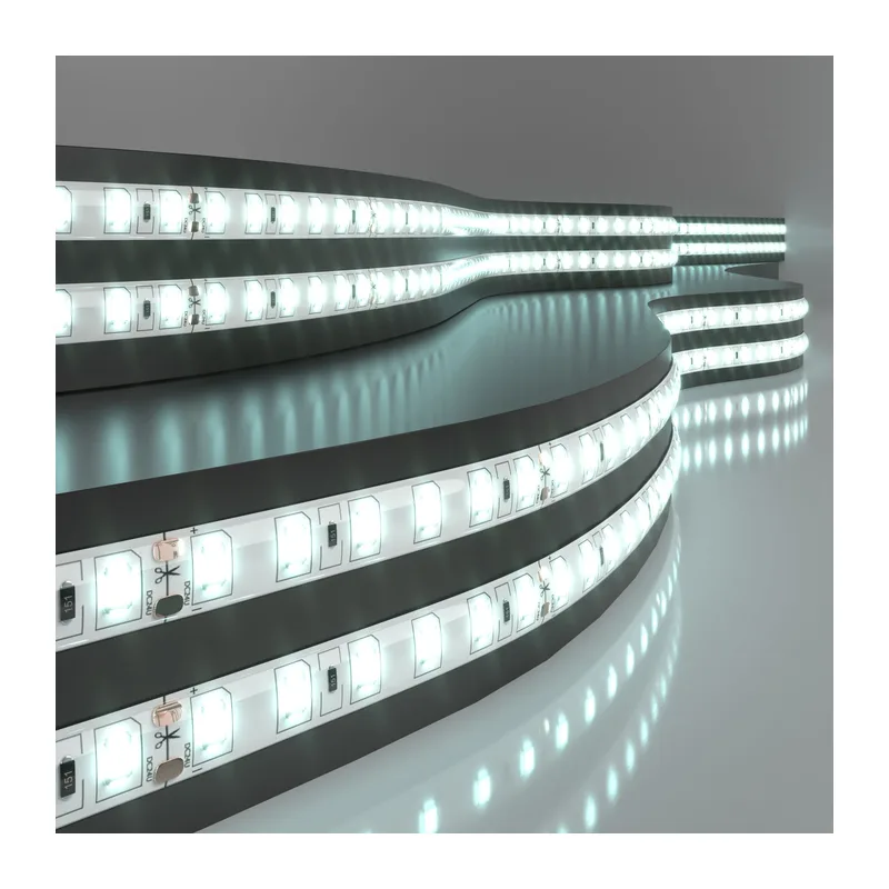 Светодиодная лента 24 В 9,6 Вт/м 120 Led/м 2835 IP65, холодный белый 6500K, 5 м Лента светодиодная 24V 9,6W 120Led 2835 IP65 холодный белый, 5м Elektrostandard