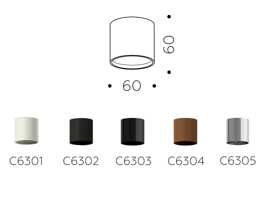 C6305