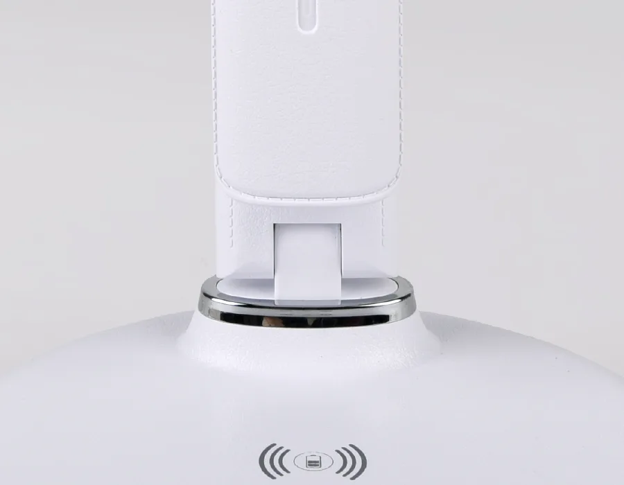 DE520