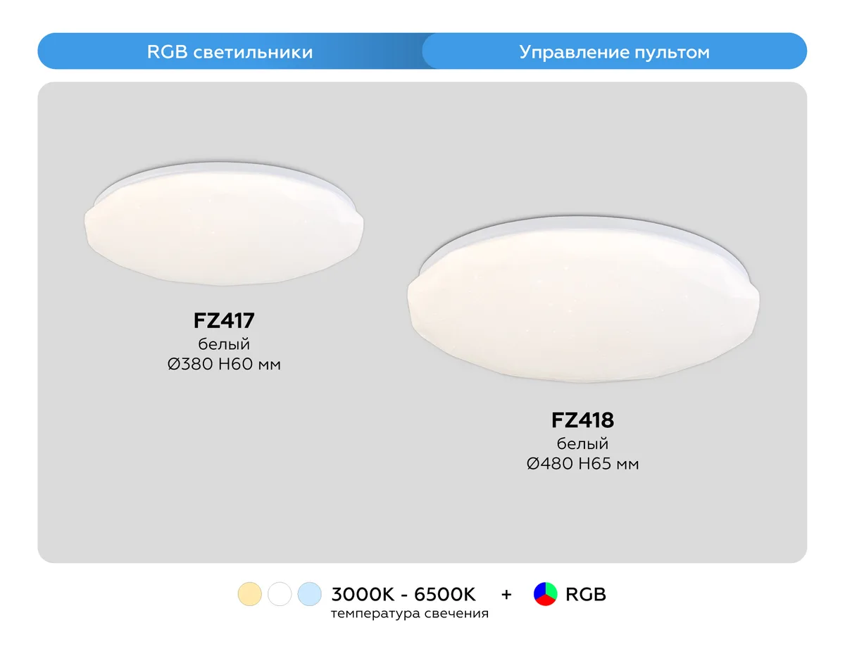 FZ417