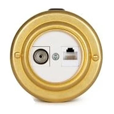 Розетка информационная RJ45+TV (CAT. 5E), Золото белая вставка, Vintage Brass 40401-6