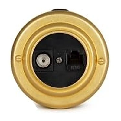 Розетка информационная RJ45+TV (CAT. 5E), Золото черная вставка, Vintage Brass 40405-6