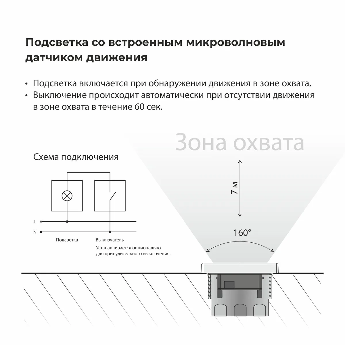 W1154608